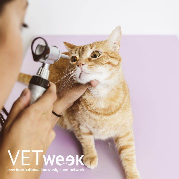 Design uden navn (19)